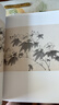 经典全集 陈淳画集 8开中国画临摹画册书籍写意水墨国画花鸟鱼虫山水走兽技法教材高清临本册页 花卉禽鸟名作赏析鉴赏 杨建飞主编 实拍图