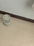小熊（Bear）迷你养生壶养生杯 电炖杯电热杯煮花茶壶烧水壶办公室杯子0.4L全玻璃杯体YSH-F04E1 实拍图