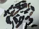 煜树 肉苁蓉100克  苁蓉鲜干片肉苁蓉片干肉苁蓉油肉苁蓉可泡水泡酒 实拍图
