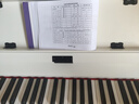 贝琪（Betsy）立式电钢琴重锤88键初学者家用练习钢琴成人儿童专业考级电子钢琴 B301重锤键-木纹白 标配(琴+学琴礼包） 实拍图