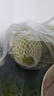 京地达梨砀山翠玉梨翠冠梨香梨子水果净重4.8斤单果250g+源头直发 实拍图