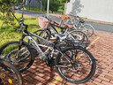 金武端自行车成人山地车公路赛车单车骑行变速超轻越野中学生初中青少年 旗舰版-辐条轮-黑白色 26寸24速 实拍图