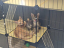 蔻丝猫笼子超大号猫窝别墅带厕所一体隔离适合幼猫大猫柜家用宠物猫笼 【3层1卫3室】攀爬多层空间 基础款【封闭猫砂盆带铲+爬梯】 实拍图