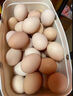 故乡食召 鸡蛋 散养谷物蛋 农家喂养 初生鲜鸡蛋 尝鲜：6枚（总体约240g） 实拍图