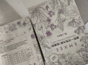 嫚熙（EMXEE）一次性高腰内裤纯棉日抛大码免洗孕妇旅行商务出差生理期 16条XL 实拍图
