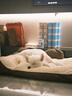 华元宠具（hoopet）狗窝四季通用可拆洗保暖狗垫子金毛柯基睡垫狗床小中大型犬窝沙发 【经典简约】狗狗沙发-焦糖咖 L100*75*25cm【60斤内中大型犬】 实拍图