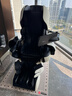 稻田（FAMILYINADA）日本原装进口按摩椅ROBO家用全身按摩椅太空舱全自动电动AI智能双机芯豪华品牌按摩椅LPN30000D 尊贵黑 实拍图