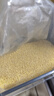 十月稻田 黄小米 5斤 可溯源 五谷杂粮 粥米 早餐小米粥 2.5kg 实拍图