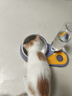 憨憨乐园猫碗双碗猫咪喝水碗猫食盆斜防打翻饭盆狗碗宠物用品 实拍图