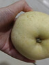 脆甜山东黄金奶油富士苹果非维纳斯苹果 带箱2斤 实拍图