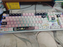狼蛛（AULA）F3020机械键盘热插拔有线电竞游戏办公电脑108键全键无冲RGB灯效自定义宏编程台式机笔记本外设 小拽猫 青轴【声音脆/手感佳】 实拍图