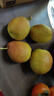 京鲜生 新疆库尔勒香梨 净重5斤 一级 单果100g-120g  生鲜水果 实拍图