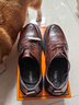 卡帝乐鳄鱼（CARTELO）布洛克男士皮鞋手抓纹软牛皮男鞋增高厚底正装鞋皮鞋男9745棕色43 实拍图