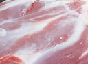 HI 海底捞内蒙高钙羔羊肉卷净重2斤/袋 原切火锅羊肉片 生鲜羊肉 实拍图