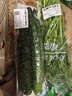紫溪山嫩黄瓜约550g 实拍图