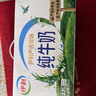伊利10月纯牛奶250ml*24盒整箱牛奶营养早餐全脂牛奶成人纯奶 7月纯牛奶250ml*24盒 实拍图