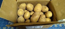 湖北恩施富硒小土豆黄心国家地标蔬菜高山种植鸡蛋大小生鲜京东 富硒小土豆 9斤含箱 实拍图
