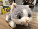 威尔通（WELTSTON）毛绒玩具玩偶抱枕靠垫布娃娃中秋节礼物生日礼物 仿真蓝猫咪公仔 实拍图