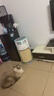 霍尼韦尔（Honeywell）宠物空气净化器吸猫毛除过敏源猫猫搭子 猫毛净化器杀菌消毒除异味【家电国家补贴】KJ360F-C22W 实拍图