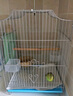 贝尼宠鸟笼  鹦鹉鸟笼子 可折叠 虎皮鸽子笼鸟笼子 八哥画眉鸟别墅大号 电镀银鸟笼*高56*长33*31含8件套 实拍图