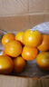 广西沃柑水果新鲜当季整箱一级沙糖蜜橘柑橘砂糖橘子桔子武鸣 【大果】果径65-70mm 净3斤 实拍图