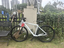 佳沃JAVA沃系列雁把城市旅行公路自行车休闲通勤沃小白红山SEQUOIA 【升级款-转把+禧玛诺后拔】亮光白 【S码】建议身高：164-171 【7速】-燕把 实拍图