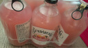 宾得宝（Bundaberg）含气葡萄柚汁饮料375ml*6玻璃瓶装  澳州网红露营发酵果汁气泡水 实拍图