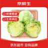 京鲜生山东新鲜绿甘蓝净重5斤单果200g+卷心菜甘蓝新鲜蔬菜 源头直发 实拍图