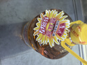 鲁花 食用油 物理压榨 葵花仁油6.18L  实拍图