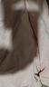 京东京造【10A抑菌】A类一等品50支纯棉睡衣女睡衣秋冬情侣家居服浅粉L 实拍图