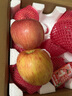 秦悦仙果鲜【多地隔日达】正宗山东烟台红富士苹果栖霞新鲜水果新年送礼礼物 9斤甄选果王 【单果80-90mm】净重8.5斤 实拍图