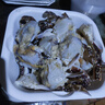 海天 蚝油6kg 金字装调味品 炖炒蘸拌鲜 烧烤火锅蘸料 餐饮装 大规格 实拍图