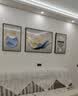 诗六艺家饰客厅装饰画北欧现代简约沙发背景墙挂画三联画大气轻奢壁画晶瓷画 福禄满盈（铝合金外框） 晶瓷画左右50*70+中间100*70亮面 实拍图