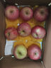 甜醉了 烟台苹果栖霞红富士新鲜水果生鲜山东特产脆甜整箱平果礼盒礼品 3斤尝鲜果 75mm 实拍图