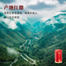 八马茶业 红茶 鼎红1000武夷山金骏眉48g 罐装茶叶 实拍图