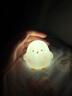 卡通小鸡仔小夜灯高颜值卧室可爱装饰发光玩具儿童生日分享小礼物 小鸡仔/白色 实拍图