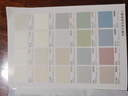 立邦乳胶漆墙漆抗甲醛全效内墙漆油漆涂料无添加室内环保漆墙面漆 【免费试色】乳胶漆色卡 免费调色 实拍图