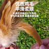 比比奇手工鸡毛毽子儿童小学生比赛毽子运动专用成人踢毽子毽球健身键子 实拍图