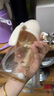 UBMOM吸管杯婴儿宝宝学饮杯儿童喝水杯直饮杯牛奶杯ppsu吸管奶瓶1-3岁 弹盖式米色小松鼠-专利防喷 280ml 实拍图