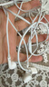 Apple/苹果 USB-C接口有线耳机 type-c接口有线耳机苹果耳机 苹果17有线耳机笔记本耳机游戏音乐 实拍图
