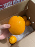 京鲜生 当季鲜橙 净重10斤 钻石果 单果约200g起 生鲜橙子水果礼盒 实拍图