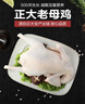 CP正大食品老母鸡2.8斤  冷冻 饲养500天 老母鸡 月子姨妈期煲汤  实拍图