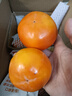 京鲜生 阳丰脆甜柿 净重8.5-9斤单果100g+ 水果源头直发 包邮 实拍图