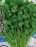 【随种随吃】调料菜种子组合春季四季易种耐热阳台盆栽通种蔬菜 小叶香菜种子1包约1000粒 一包约1000粒 实拍图