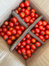 千禧圣女果新鲜小番茄樱桃小柿子孕妇水果现摘现发新鲜蔬菜 新鲜圣女果 5斤 实拍图