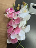 爱已装糖 假花仿真花奶油风高档七头蝴蝶兰客厅装饰花餐桌花干花插花 实拍图