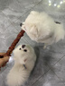 疯狂小狗中大型犬金毛边牧磨牙洁齿棒 巨无霸牛皮夹心卷欧芹&鸭肉味 200g 实拍图