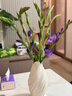 【剑兰】鲜花云南基地直发告白求婚情人节步步高升菖蒲七夕节礼物 剑兰紫色10枝 实拍图