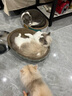 petofstory宠物猫零食冻干鸡脖100g 磨牙洁齿猫咪磨牙棒猫咪零食用品 实拍图