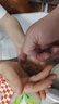 暖立方全自动孵化器小型家用孵化机实验孵化箱智能芦丁孵蛋器鸡鸭鹅鸽 【鸟蛋专用】33枚孵化器单电 实拍图